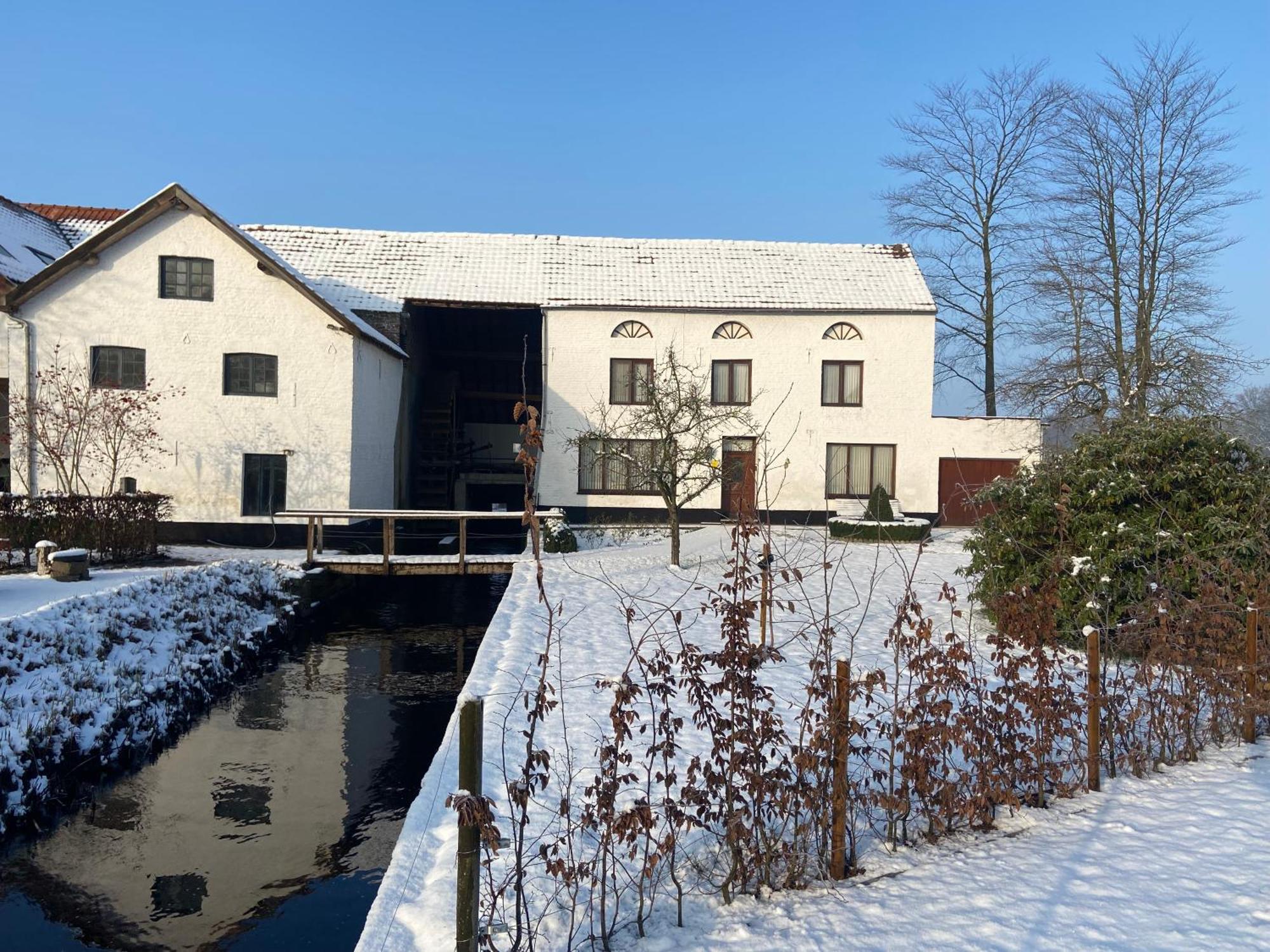 Vakantiewoning Wurfeldermolen Maaseik Exterior photo
